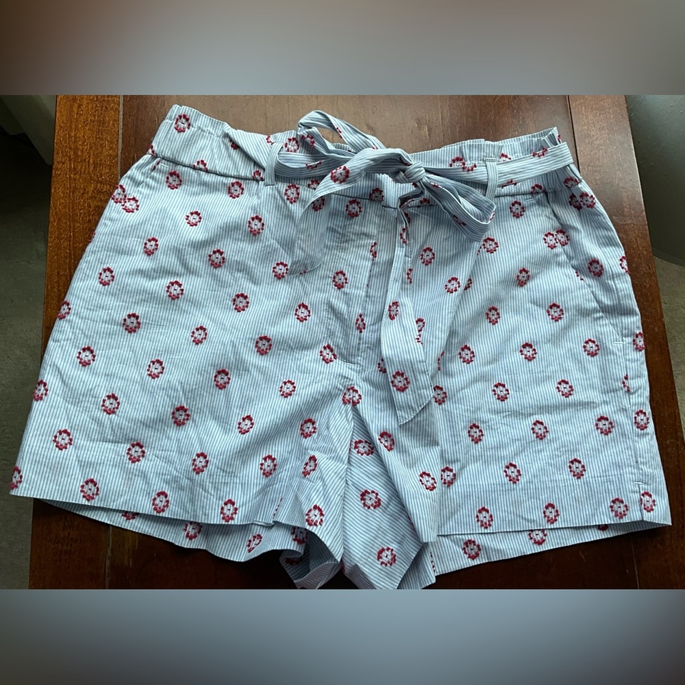 Woman’s dressy lined shorts  w/elastic paper bag waist and self tie